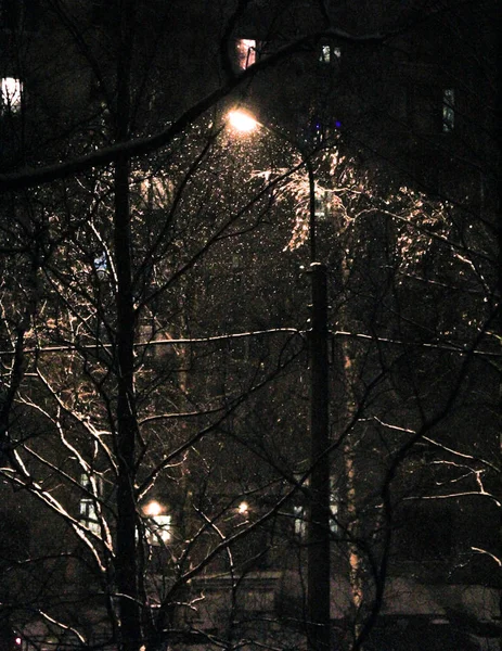 Noite de inverno na cidade. — Fotografia de Stock