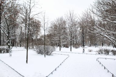 Winter Park, St. Petersburg.