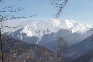 vahşi dağ manzarası.