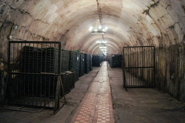 병의 선반으로 긴 지하실. — 스톡 사진