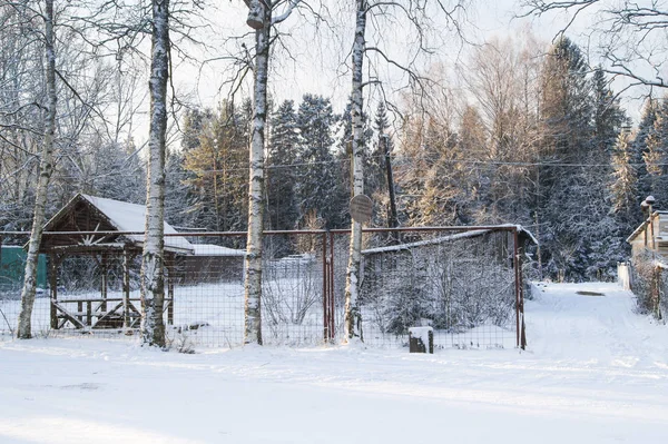 Att kombinera bakom ett staket i skogen vinter. — Stockfoto