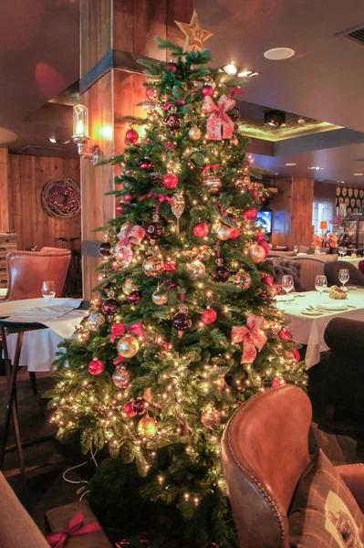 Árvore de Natal no restaurante . — Fotografia de Stock