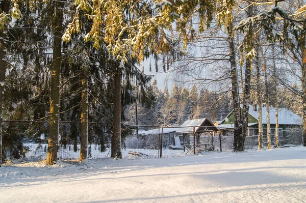 Hus bakom staketet i skogen vinter. — Stockfoto