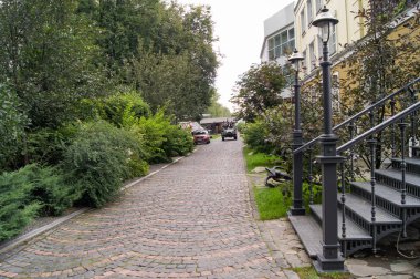 Planking tatlım bush parça.