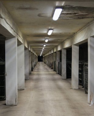 Şarap deposu Abrau Durso.