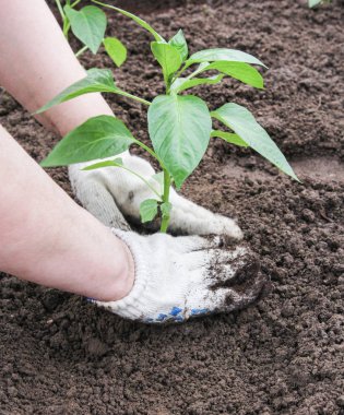 Kara el ile kapatın.