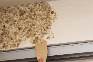 Sıvı duvar kağıdı ile çalışma.