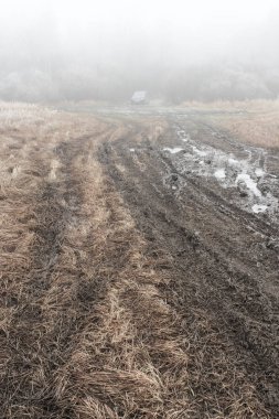 Sisin içinde kırık alan yol.