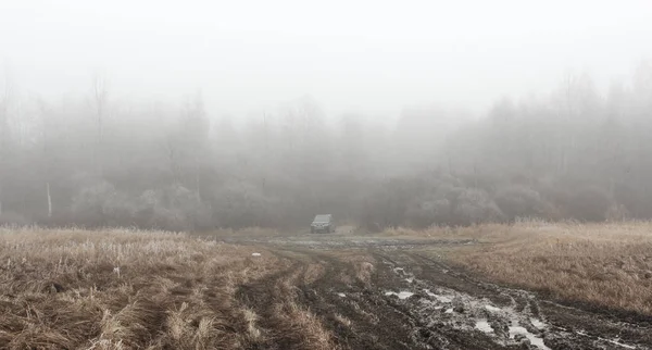 Broken road in misty forest. — Stock Photo, Image