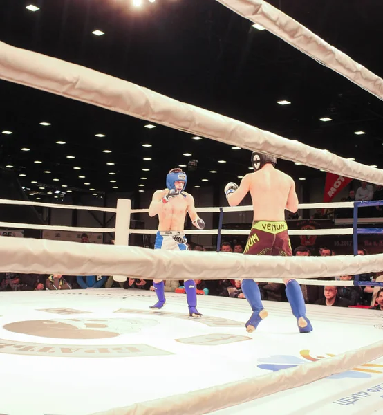 Combattants sur le ring . — Photo