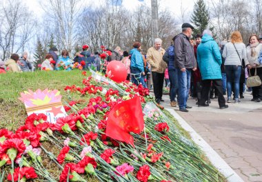 Mezar tepe üzerinde kırmızı çiçekler.