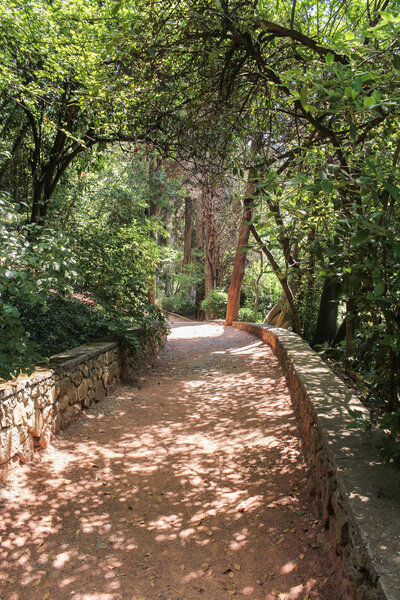 Тенистая дорожка
.