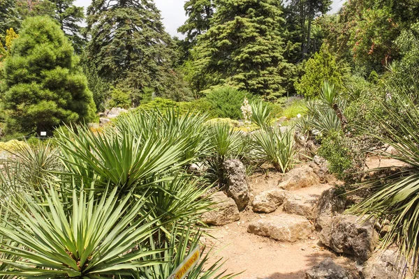 Yuki taşların arasında olduğunu.
