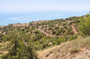 Kıyı deniz canlıları.