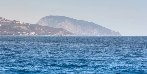 Dağı ayı görünümü.