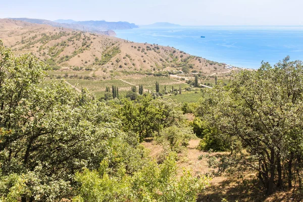 deniz güneşli bir gün.