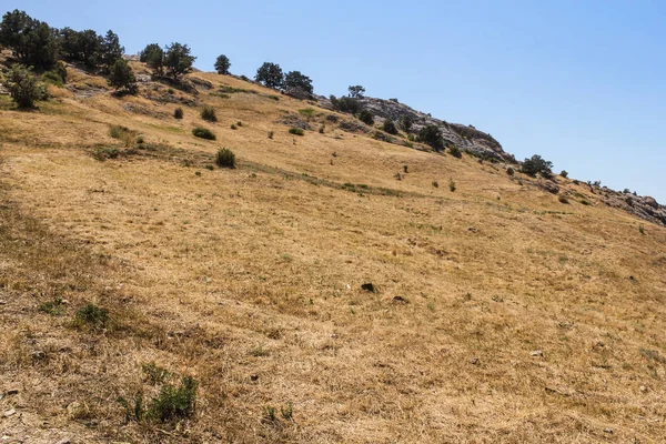 Taşlı tepenin yamacında.