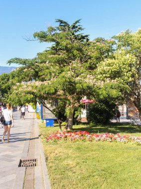 Çiçekli ağaçlar'ın bahçesinde.