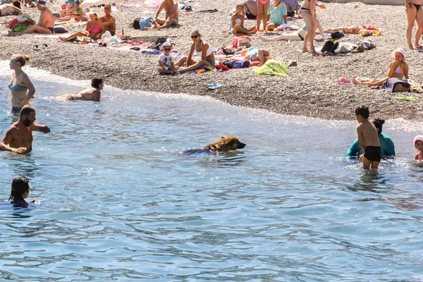 Banyo insan ve bir köpek.