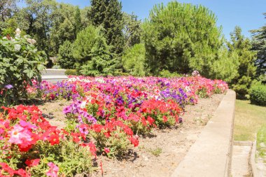 Yeşil bir arka plan üzerinde parlak çiçek.