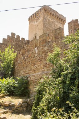 Kale duvarları, çalılar.