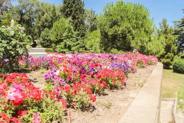 Yeşil bir arka plan üzerinde parlak çiçek.