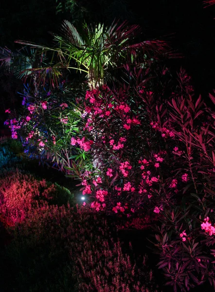 Çok renkli park aydınlatma.