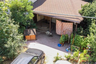 Şüpheli yeşil avlu.