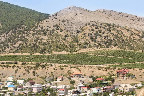 Vingårdarna under berget. — Stockfoto