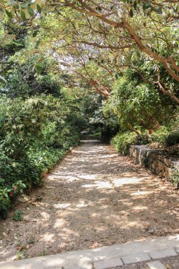 Ağaçlar yolun taşkın.