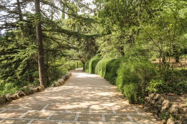 Bir çit yol boyunca.