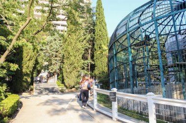 Şempanzeler bir kafes.