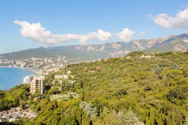 Güneş ışığı tarafından ormanı yaktı.