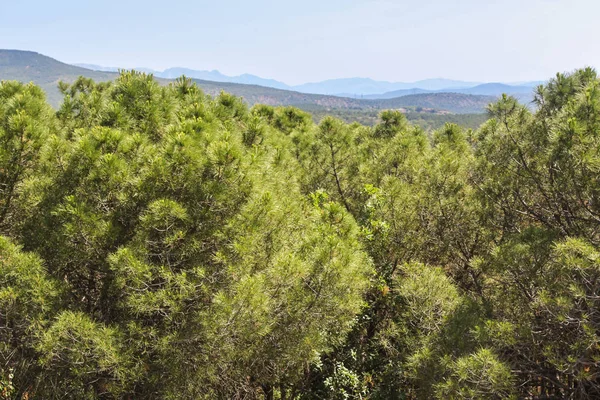 Dağ doruklarına uzaktan.