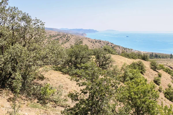 Wild coast Karadeniz.