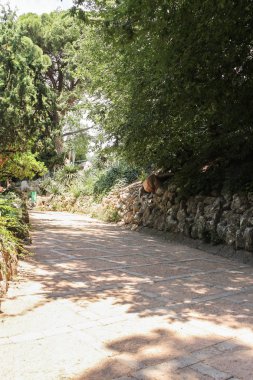 Bahçedeki geniş bir yol.