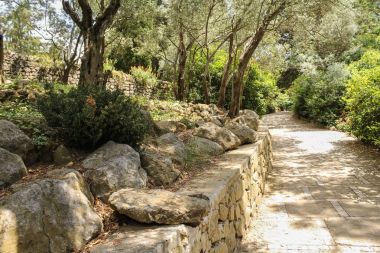 Taş teras ağaçta.