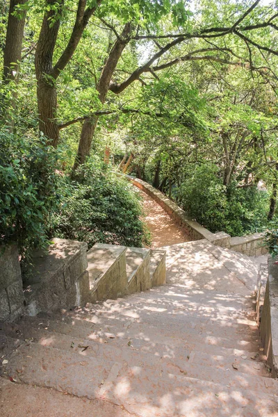 Yolları ve merdiven Botanik Bahçesi.