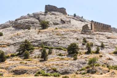 Stone mountain kale.