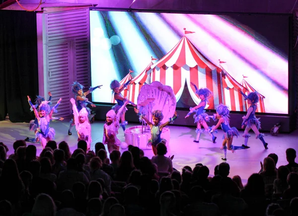 Yaratıcı grup seyirci önünde sunum.