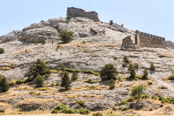 Stone mountain kale.