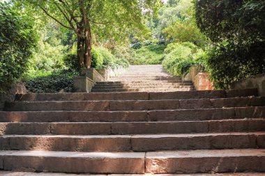 Botanik Bahçesi taş merdiven.