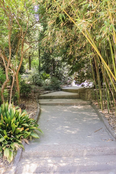 Bitkiler arasında yol.