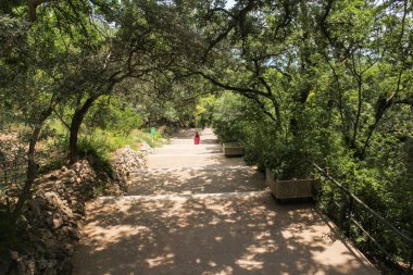 Parkın içine uzun bir iniş.