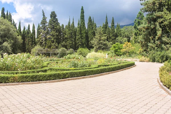 Gül bahçesinde çiçek.