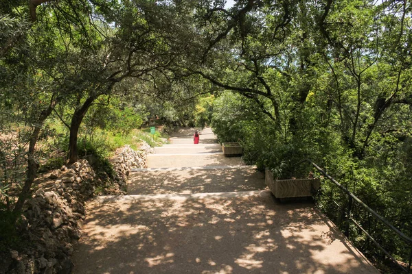 Parkın içine uzun bir iniş.