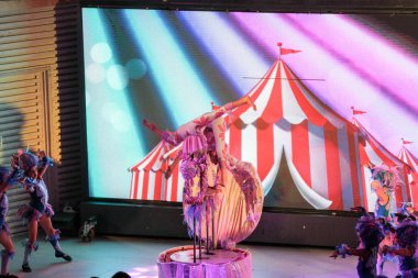 Yaratıcı grubun performansı.