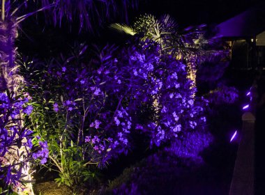 Renk park aydınlatma.