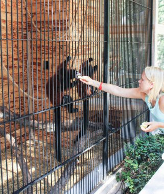 Kız hayvanlar beslenir.