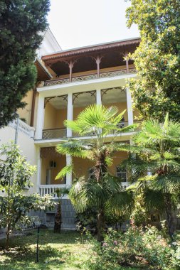 Otel Tavrida palmiye ağaçları ile bahçesinde.